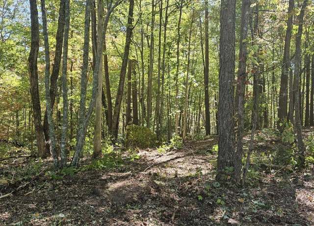 Property at 208 Old Furnace Rd, Tellico Plains, TN 37385