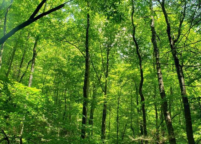 Property at Watson Branch Ln, Speedwell, TN 37870