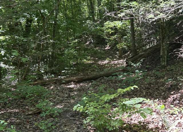 Property at Lower Powdermill Rd, Sevierville, TN 37876