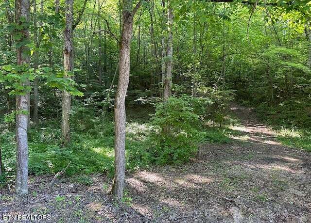 Property at Brewer Ln, Andersonville, TN 37705