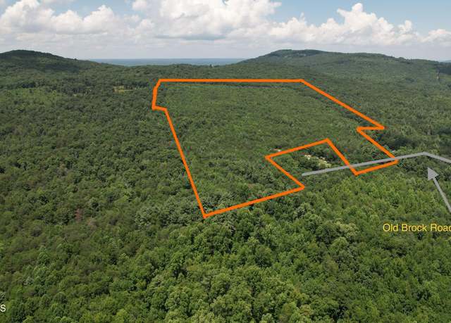 Property at Shady Oaks Dr, Spring City, TN 37381