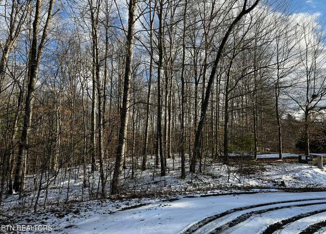 Property at Lot 4 Evergreen Dr, Oneida, TN 37841