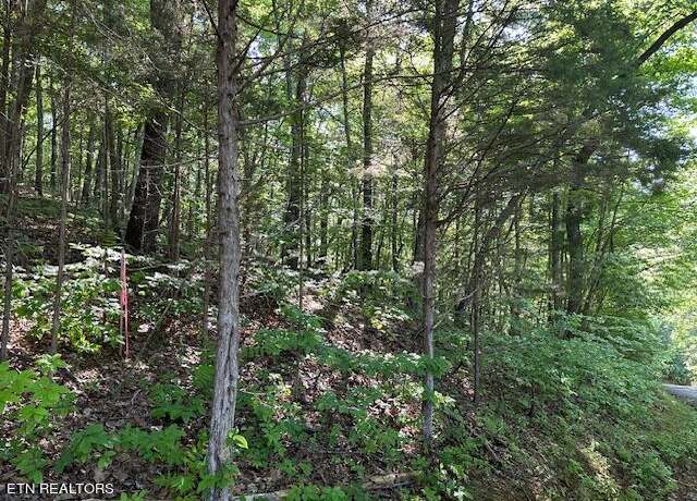 Property at Brewer Ln, Andersonville, TN 37705