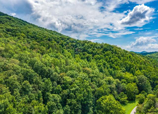 Property at Spruce Pine (330 Acres) Rd, Mooresburg, TN 37811