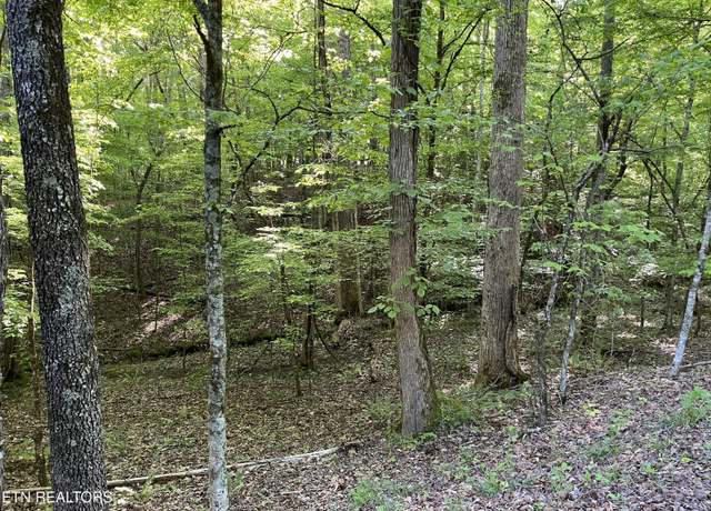 Property at 328, 329 Omega Dr, Spring City, TN 37381