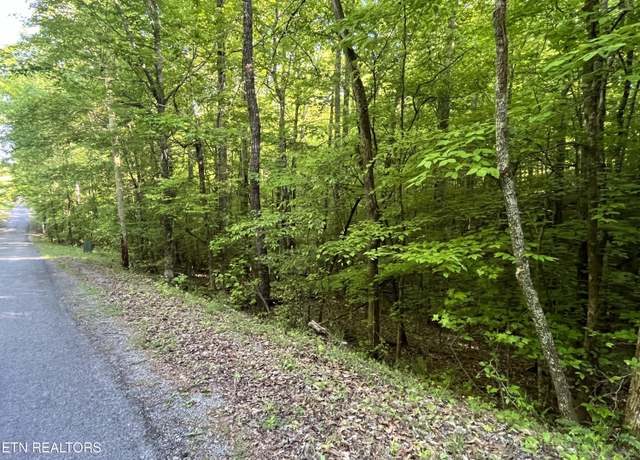 Property at 373-375 Beta Dr, Spring City, TN 37381