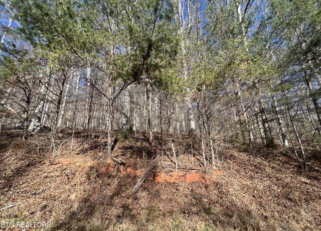 Property at lot 9 Jones Ridge Rd, Speedwell, TN 37870