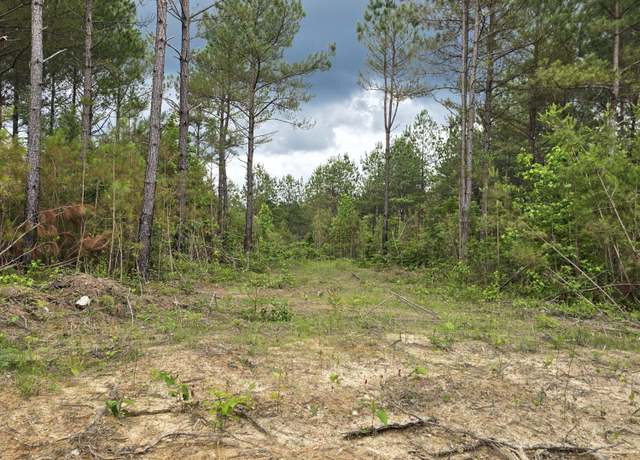 Property at Lot 10 Holly Woods, Robbins, TN 37852