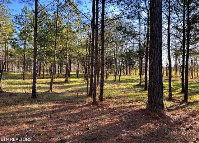 Property at Lot 4 County Road 950, Calhoun, TN 37309