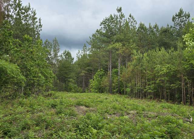 Property at Lot 11 Holly Woods, Robbins, TN 37852