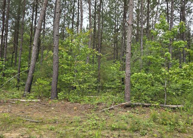 Property at Lot 12 Holly Woods, Robbins, TN 37852