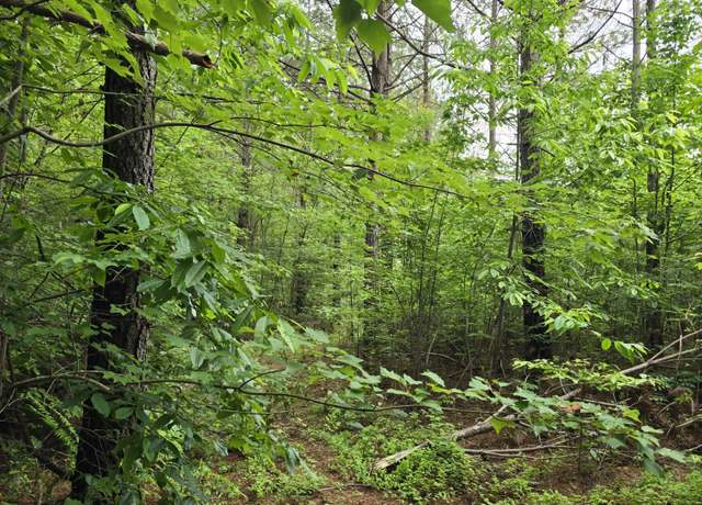 Property at Lot 13 Holly Woods, Robbins, TN 37852