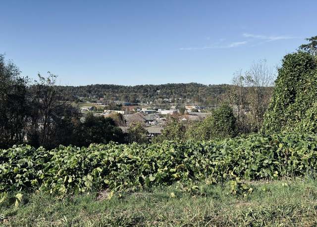 Property at Lot 25 Chapman View Dr, Seymour, TN 37865