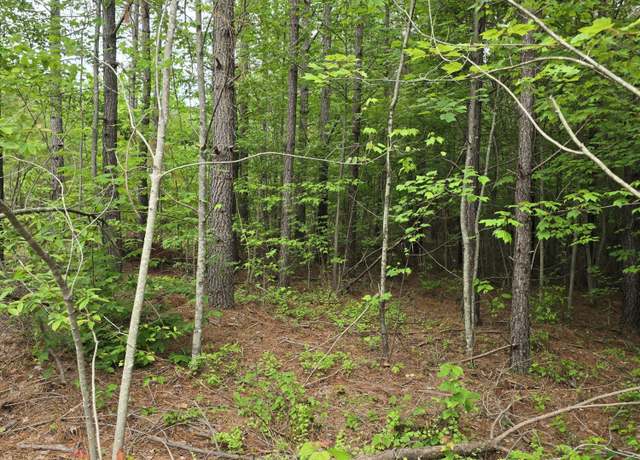 Property at Lot 14 Holly Woods, Robbins, TN 37852