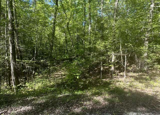Property at 0 Lake Overlook Dr, Spring City, TN 37381