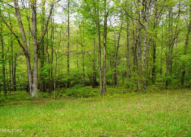 Property at Lot 56 Glade Pl, Monterey, TN 38574