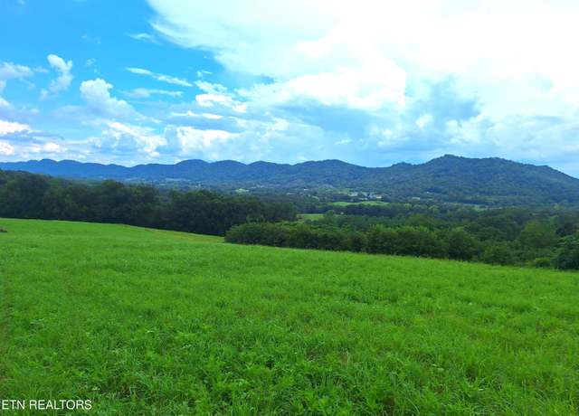 Property at Race Track Rd, Rogersville, TN 37857