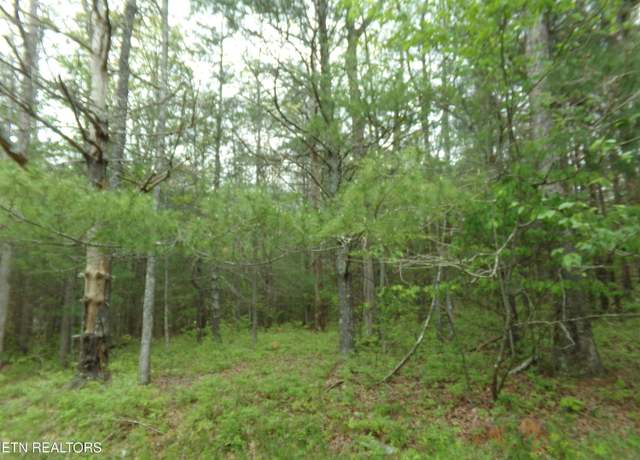 Property at 20 Paola Ct, Crossville, TN 38572