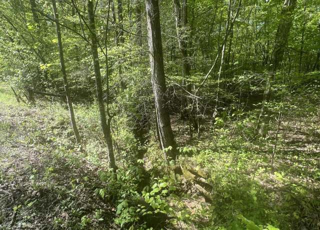 Property at 0 Lake Overlook Dr, Rockwood, TN 37854