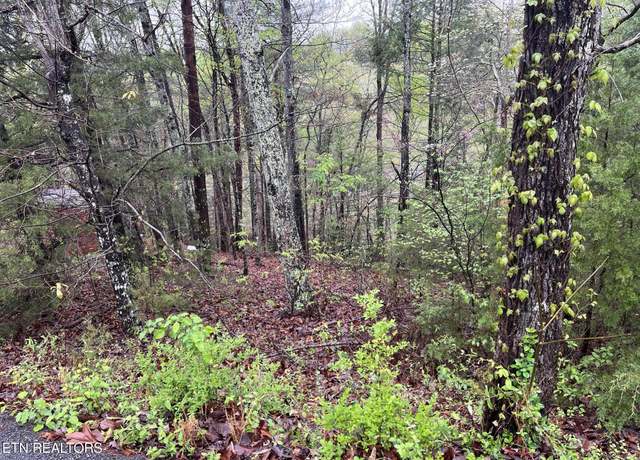 Property at Lot 1 Mountain View Dr, Pigeon Forge, TN 37863