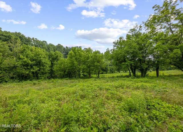 Property at 5389 Cocke County Line Rd, Cosby, TN 37722