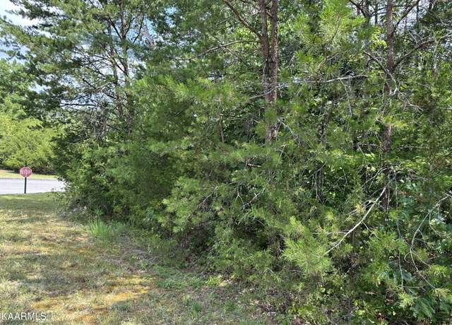 Property at 109 Woodlake Blvd, Tazewell, TN 37879