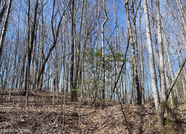Property at 448 Otis Davis Rd, Pikeville, TN 37367