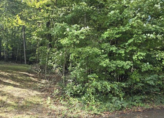 Property at 00 Reagan St, Harrogate, TN 37752
