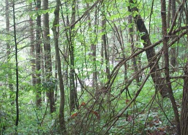 Property at 509 Chetola Trl, Townsend, TN 37882