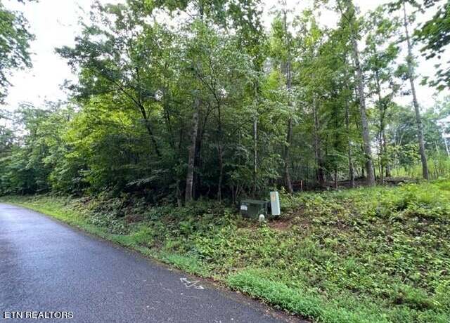 Property at Lot 20 Hazelwood Ct, Baneberry, TN 37890