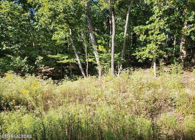 Property at 319 Snead Dr, Fairfield Glade, TN 38558