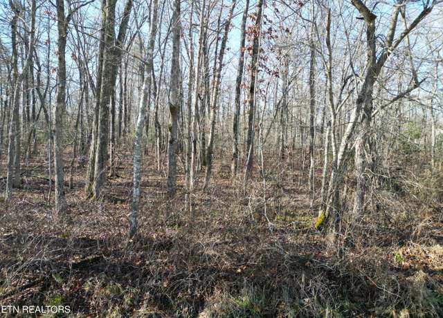 Property at 7017 Peoto Ln, Crossville, TN 38572