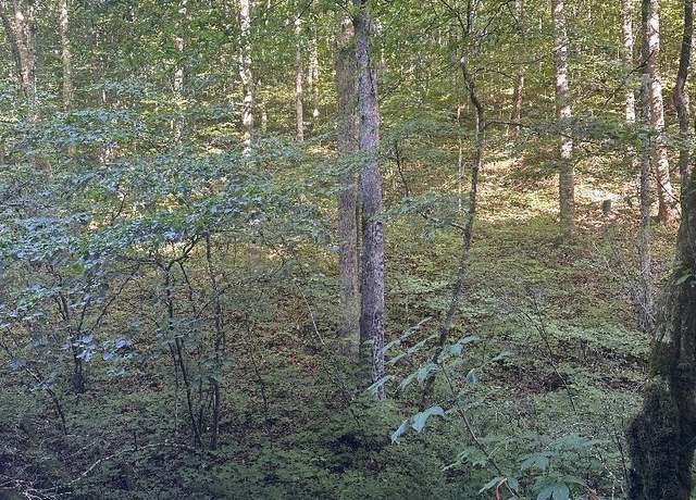 Property at Lonesome Vally Rd Rd, Tazewell, TN 37879