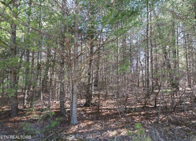 Property at 923 Paola Dr, Crossville, TN 38572