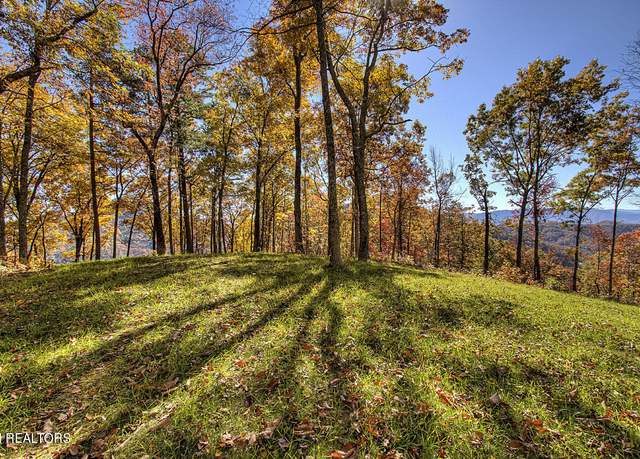 Property at 1968 E Millers Cove Rd, Walland, TN 37886