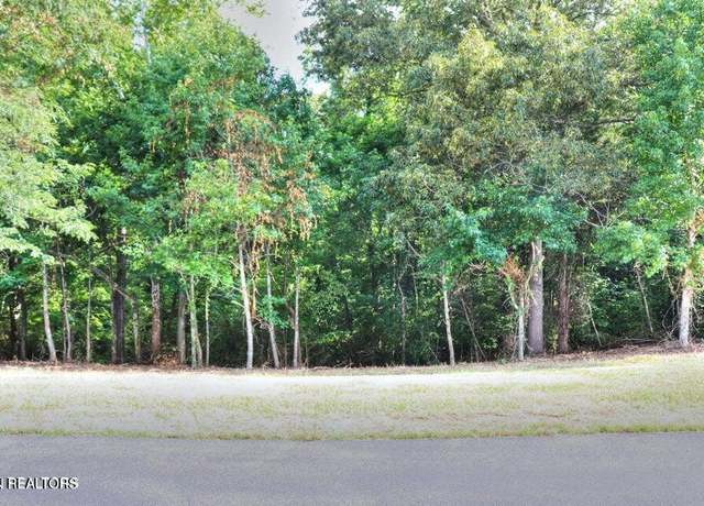 Property at 204,206208 Majestic View Dr, Rockwood, TN 37854