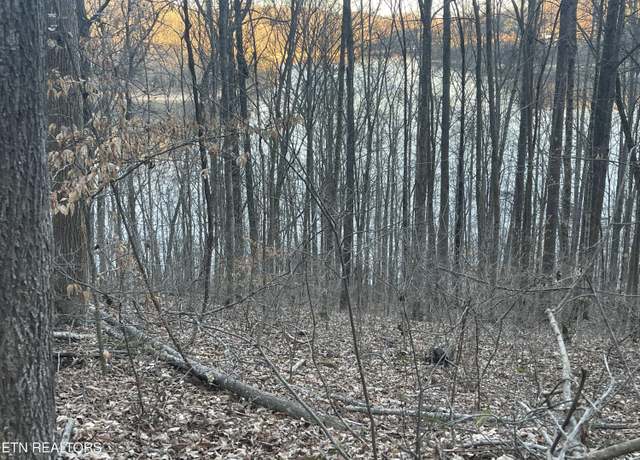 Property at 0 Back Bone Rd, Sparta, TN 38583