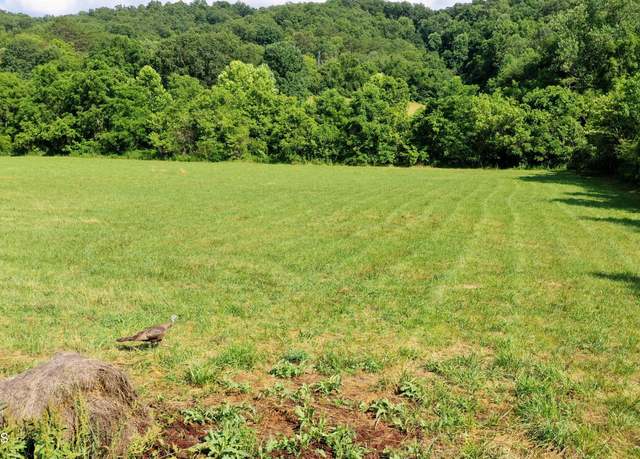Property at 350 N Vfw Rd, Bulls Gap, TN 37711