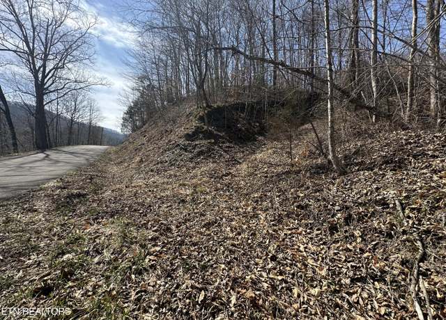 Property at TBD Cave Springs Rd, Dryden, VA 24243