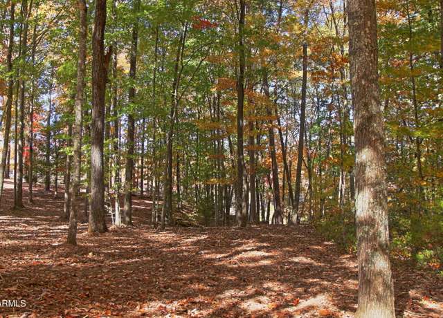 Property at Lot 17 Emerald Dr, Jamestown, TN 38556