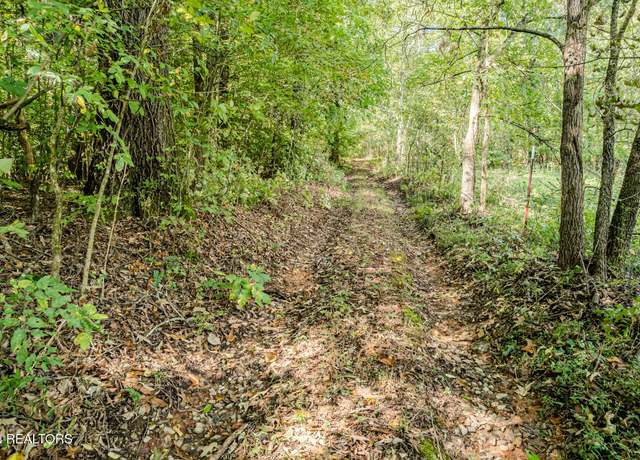 Property at 00 O B Davis Rd, Delano, TN 37325