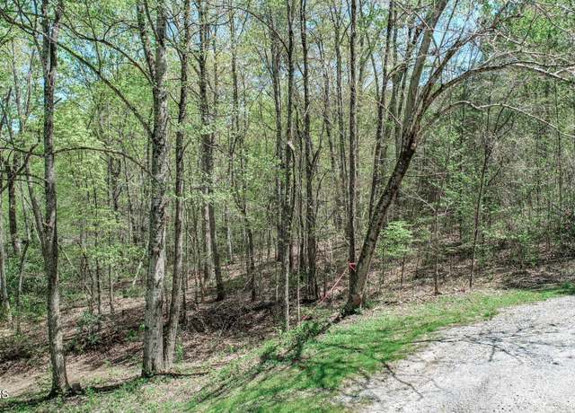 Property at 1776 Bullard Dr, Newport, TN 37821