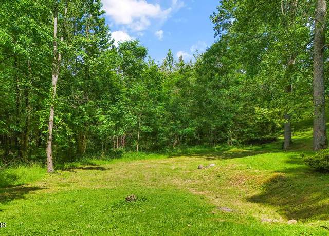 Property at Butcher Ln, Rocky Top, TN 37769