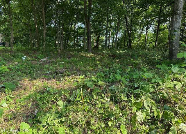 Property at 0 Black Oak Estate Rd, Dayton, TN 37321