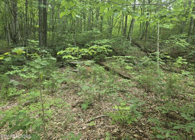 Property at Prospect Rd, Sneedville, TN 37869