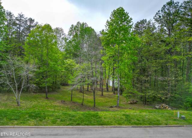 Property at 768 Wood Duck Dr, Vonore, TN 37885