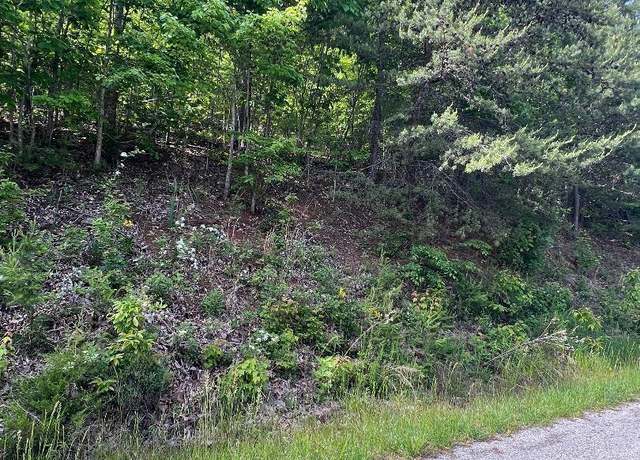 Property at Lt 225 Clinch View Rd, New Tazewell, TN 37825