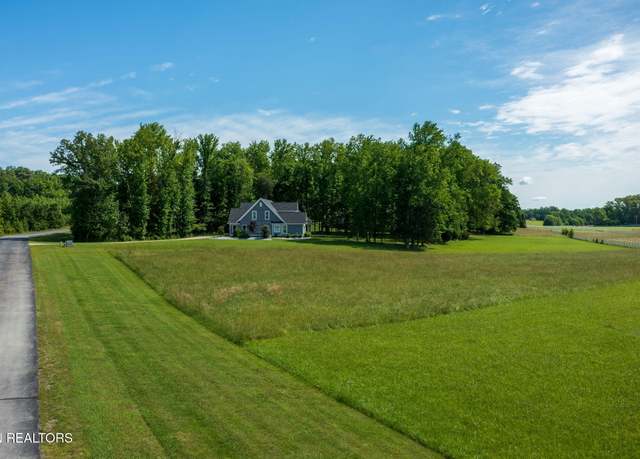 Property at 243 W Shore Dr, Rockwood, TN 37854