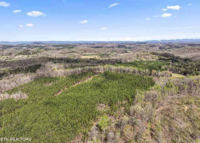 Property at 365 Pattie Gap Rd, Philadelphia, TN 37846