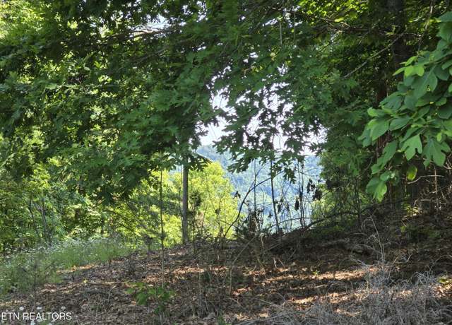 Property at TBD Union Church Rd, Sneedville, TN 37869